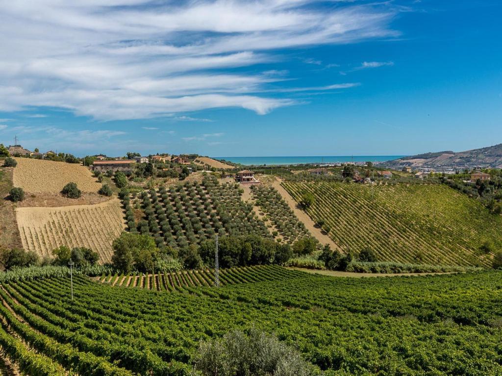 Agriturismo Il Sapore Della Luna Monteprandone Zewnętrze zdjęcie